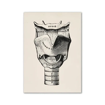 Anatomical illustration of the human larynx in black ink on beige paper anatomy canvas print by decorbites canvas print