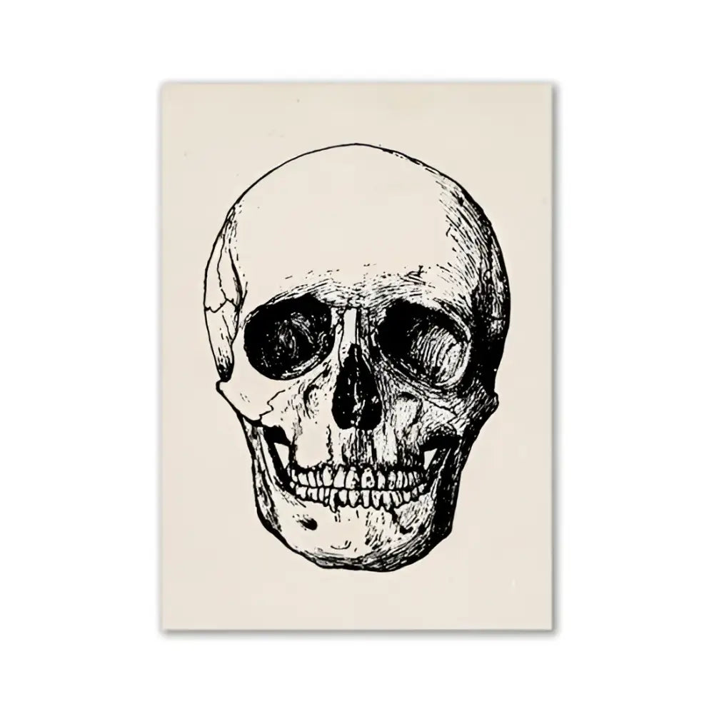 A detailed black ink human skull illustration on off-white textured paper canvas print for human anatomy decor