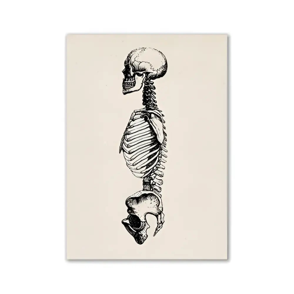 DecorBites™ vintage anatomy canvas print featuring a detailed black and white human anatomy illustration on off-white canvas