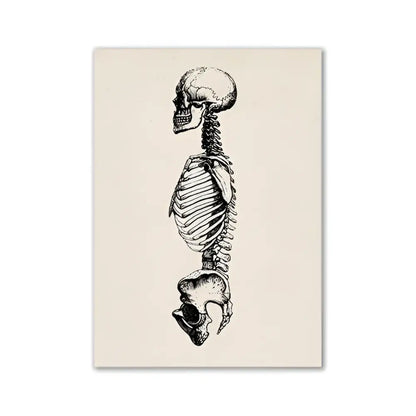 DecorBites™ vintage anatomy canvas print featuring a detailed black and white human anatomy illustration on off-white canvas