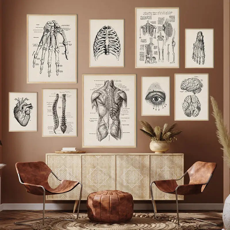 Set of eight cream background vintage anatomy canvas prints featuring detailed black and white human anatomy illustrations