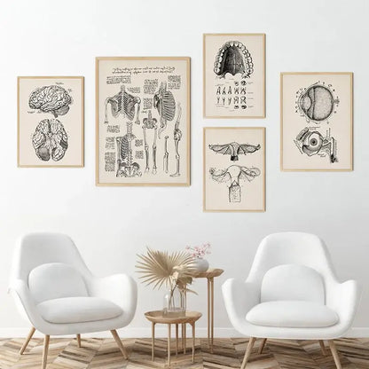 Set of five framed decorbites vintage anatomy canvas prints featuring detailed black and white human anatomy illustrations