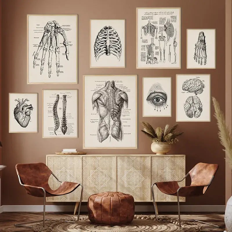 Set of nine black and white framed anatomy canvas prints depicting detailed human anatomy by DecorBites™ vintage design