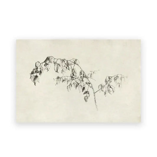 A delicate black ink sketch of a leafy branch on aged paper in decorbites vintage farmhouse landscape canvas wall art
