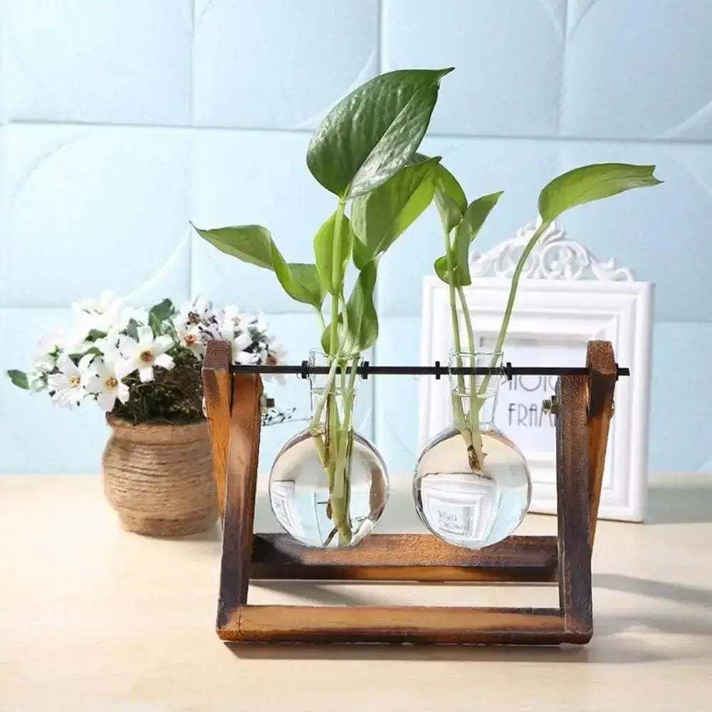 Rustic wooden stand holding two clear vintage glass hydroponic plant vases with green plants growing in water