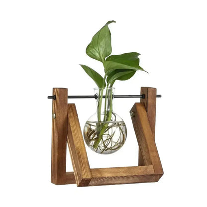 A sleek transparent glass vase with a rounded base and narrow neck in a wooden frame for vintage glass hydroponic plants