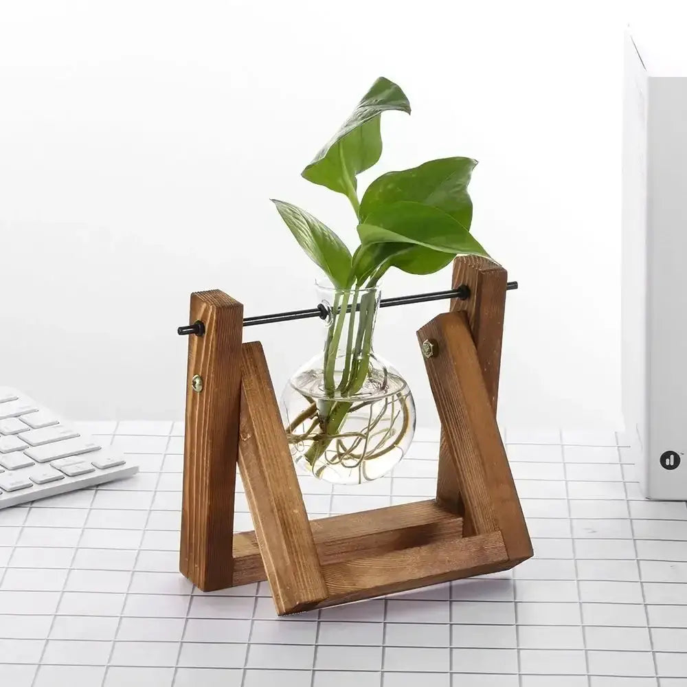 DecorBites™ minimalist wooden stand with vintage glass hydroponic plant vase holding vibrant green leaves