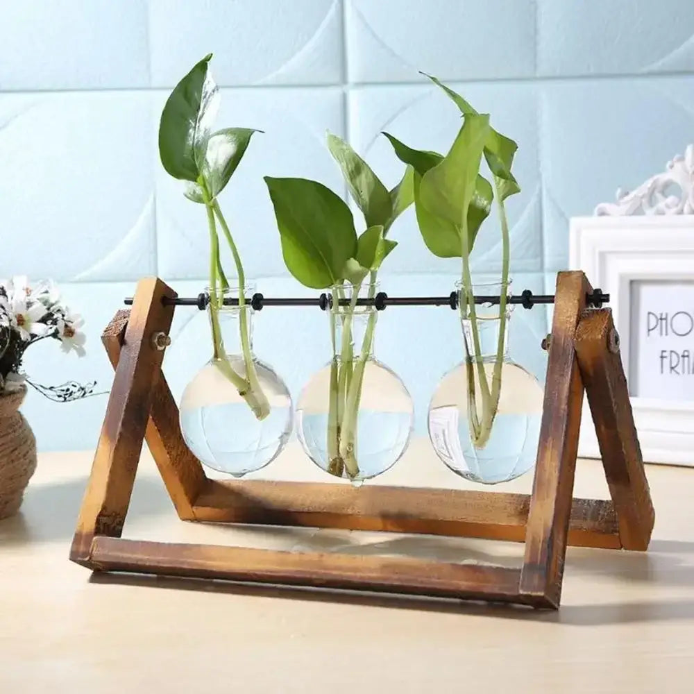 Wooden stand holding three clear glass vases with green hydroponic plants in a vintage glass hydroponic decor setup