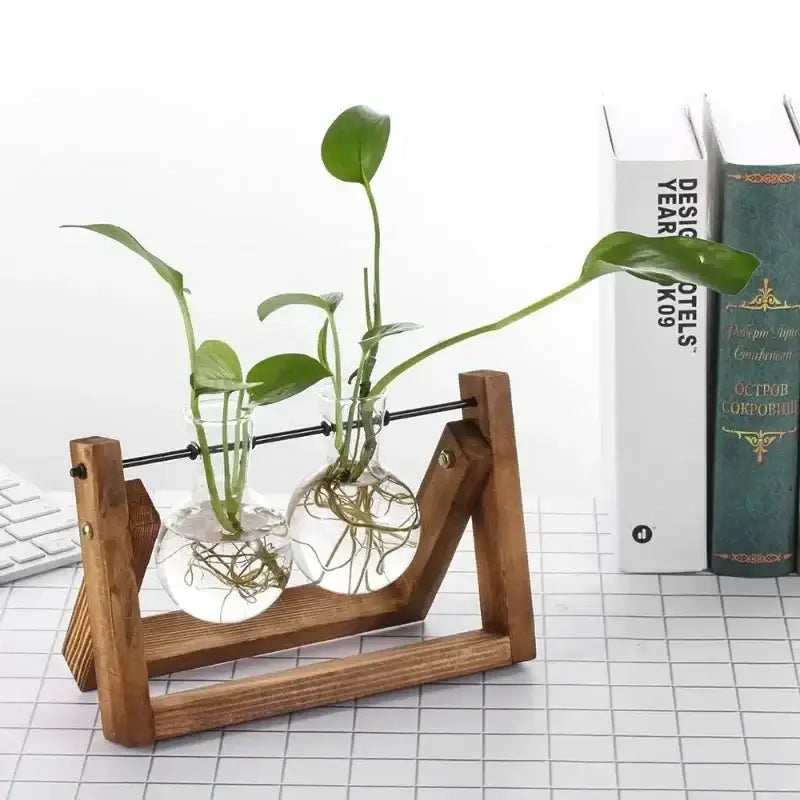 Wooden stand with two clear glass vials holding green hydroponic plants and visible roots vintage glass hydroponic decor
