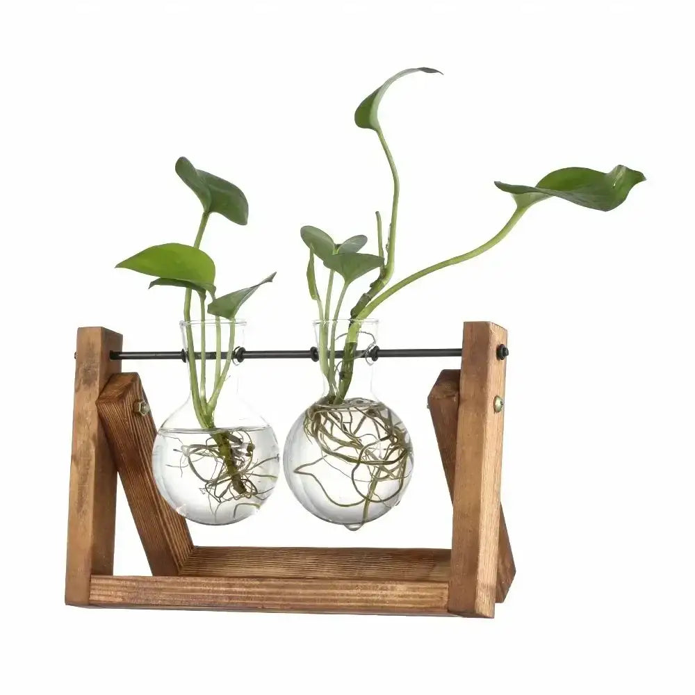 DecorBites™ vintage glass hydroponic plant vase with clear glass vials and green plants in a wooden stand