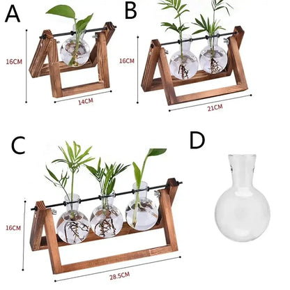Wooden triangular stand with three clear glass vases holding green hydroponic plants vintage glass hydroponic decor