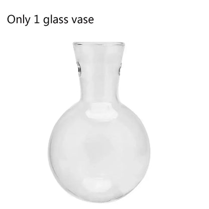 DecorBites™ vintage clear glass vase with rounded body and slender neck for hydroponic plant or bonsai flower pot use