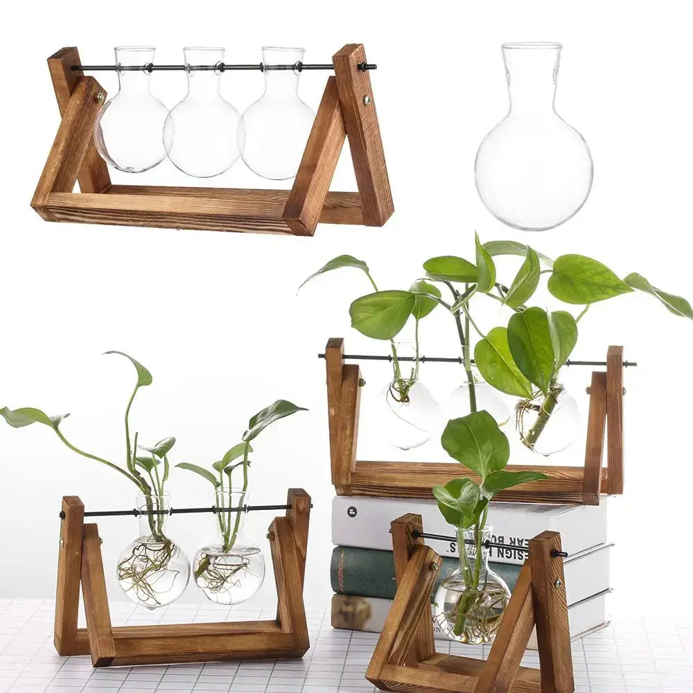 Clear glass vintage hydroponic plant vases with rounded shapes in rustic wooden a-frame bonsai flower pot stands