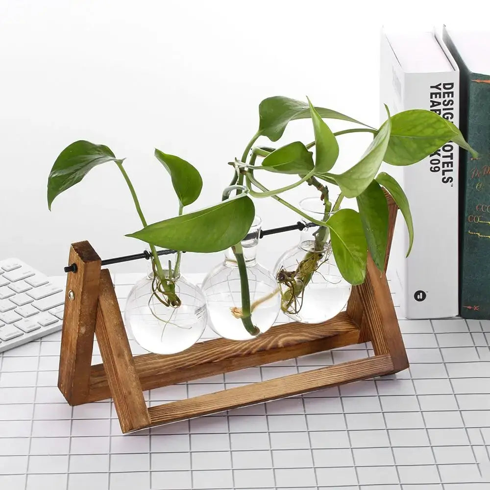 DecorBites vintage glass hydroponic plant vase tray with wooden triangular stand and clear glass bonsai flower pots