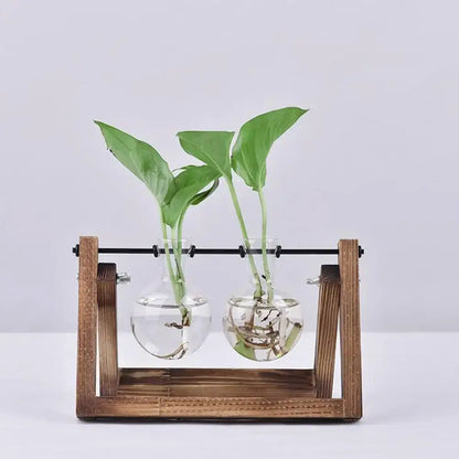 Wooden frame holding two clear glass vase hydroponic plant display for decorbites vintage bonsai flower pot tray