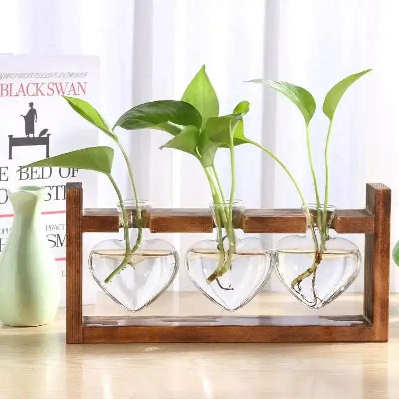 DecorBites vintage heart-shaped glass vase features a clear transparent glass vase with wooden frame holding three plants
