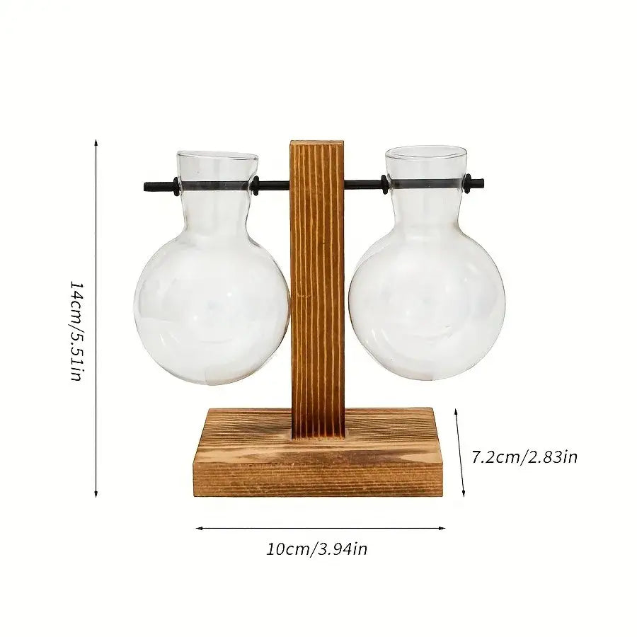 DecorBites™ vintage hydroponic glass vase with clear two bulb vases on wooden stand and black metal bar for desktop use