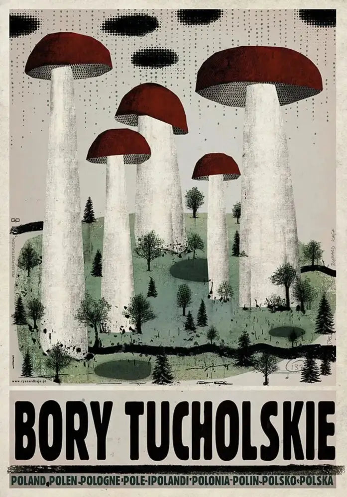 Vintage poland city posters canvas print featuring stylized red-capped mushrooms on muted forest background