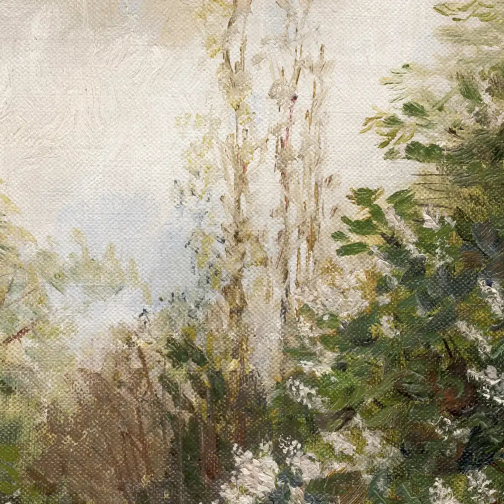 Decorbites™ vintage summer landscape canvas print featuring textured painting of pale trunks and green foliage trees