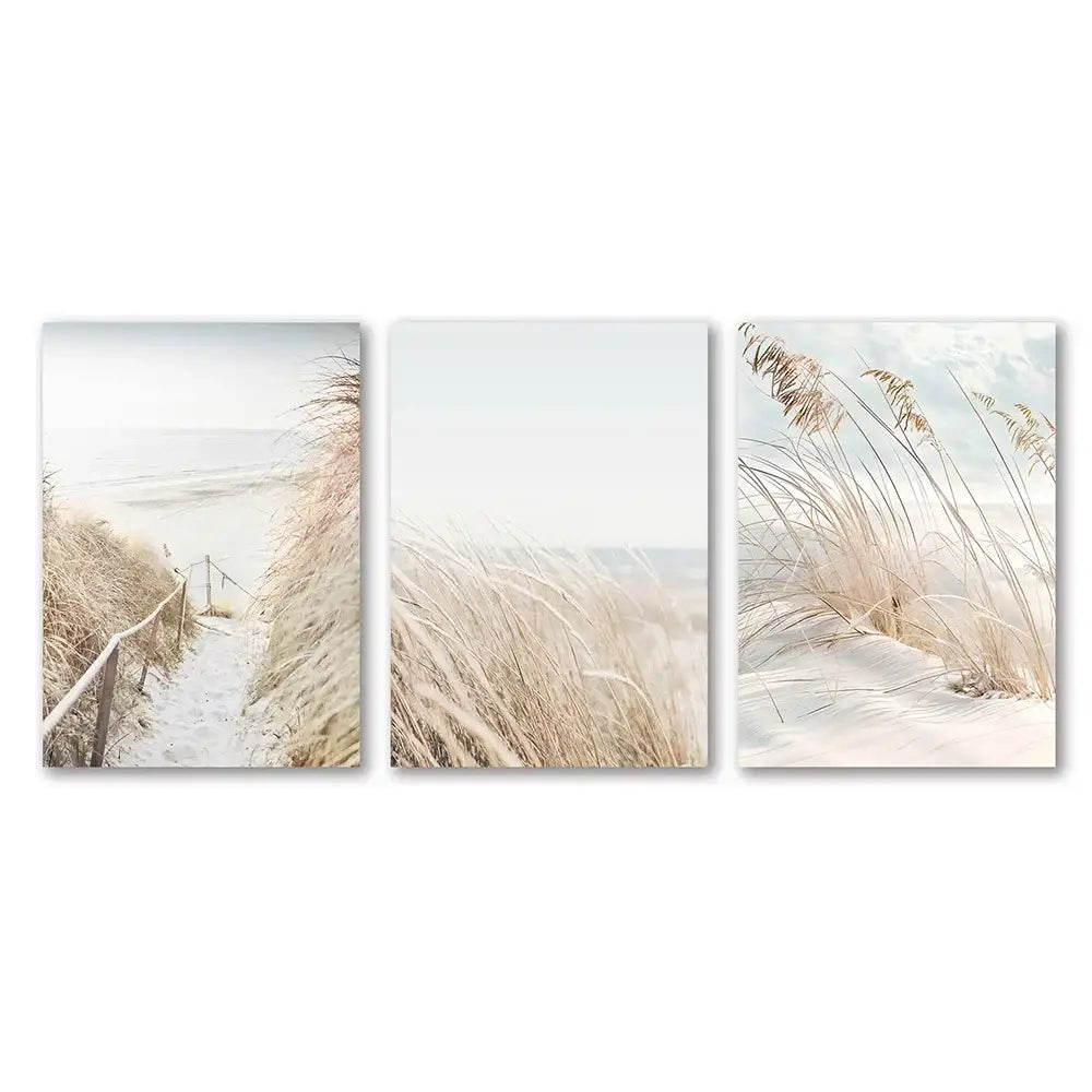 Set of three beige beach-themed white seascape canvas prints featuring tall grasses and coastal paths by DecorBites