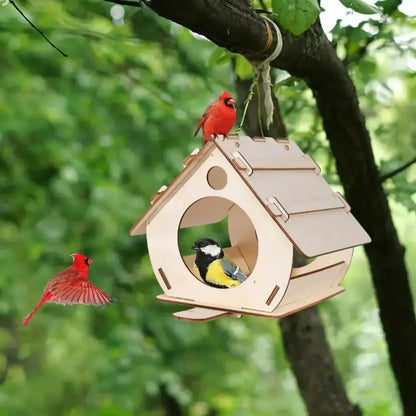 A light-colored wooden bird feeder with a circular entrance and hinged roof showcasing natural wood grain for outdoor use