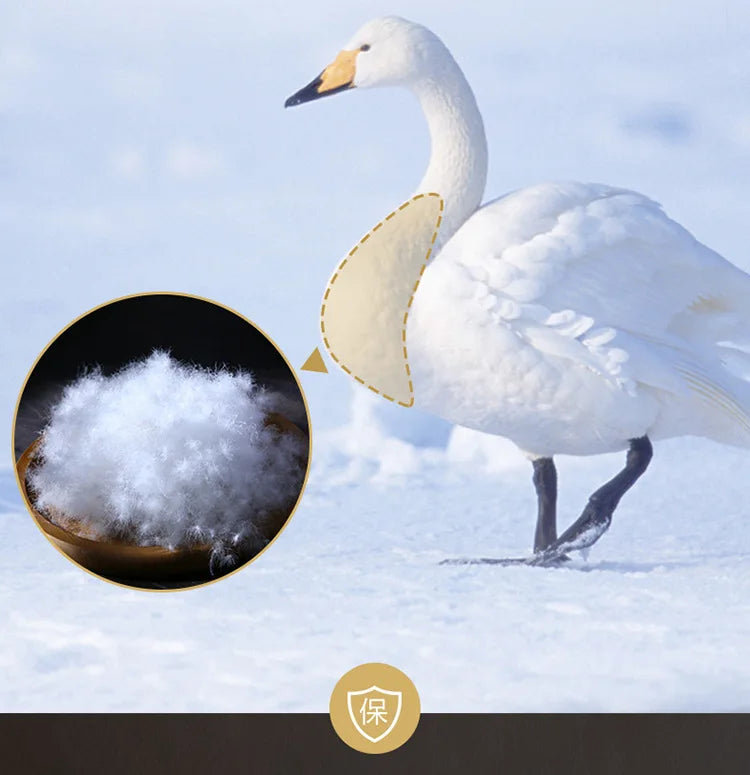 White swan with a black beak standing in snow illustrating down duvet 95 white goose down five-star hotel warm double duvet core