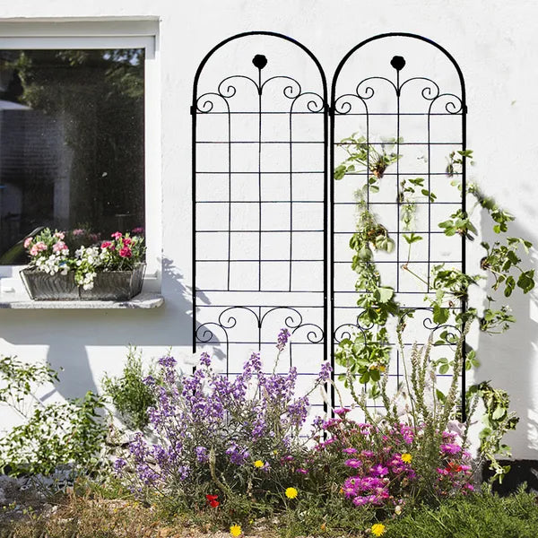 Sleek Black Plant Trellis