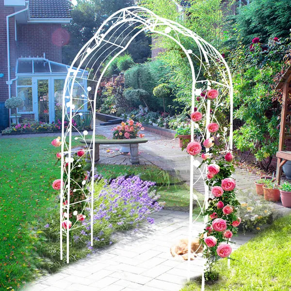 Black Metal Garden Arch