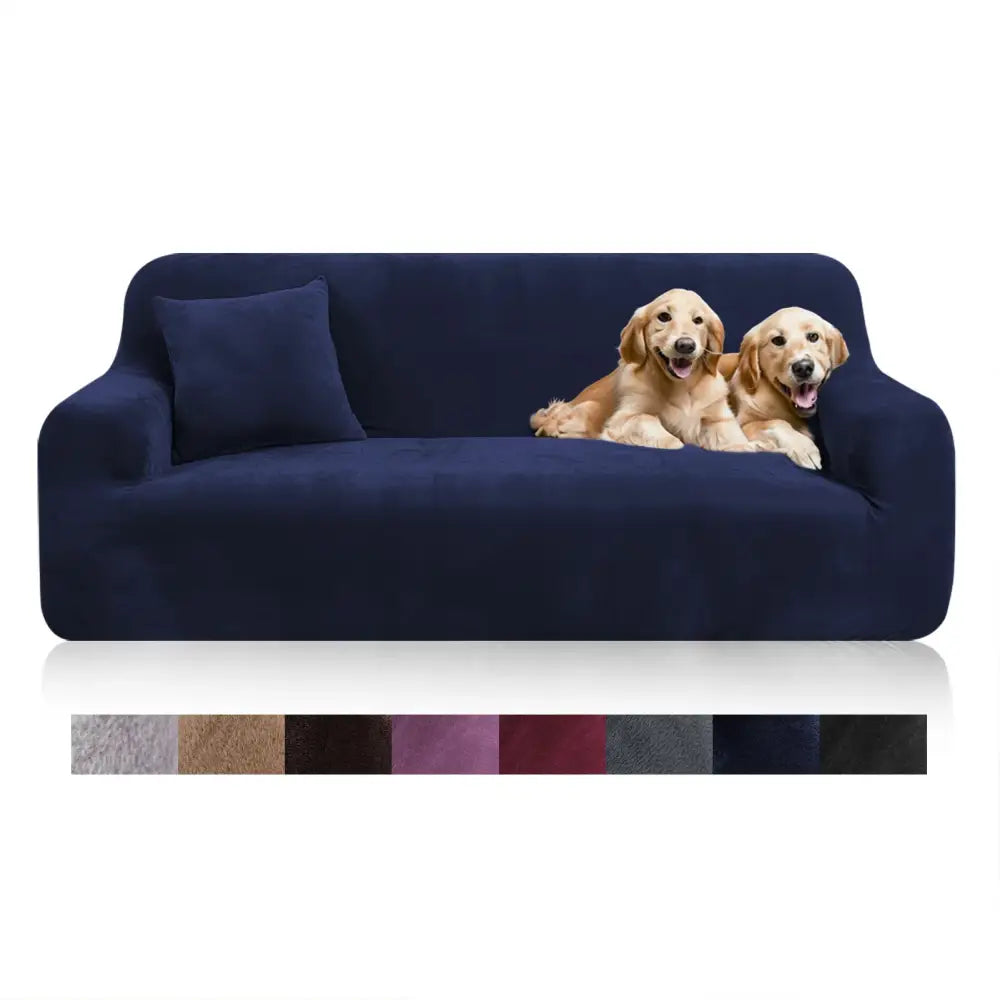 Navy blue stretchy velvet sofa cover with two golden retrievers lounging on it for living room use