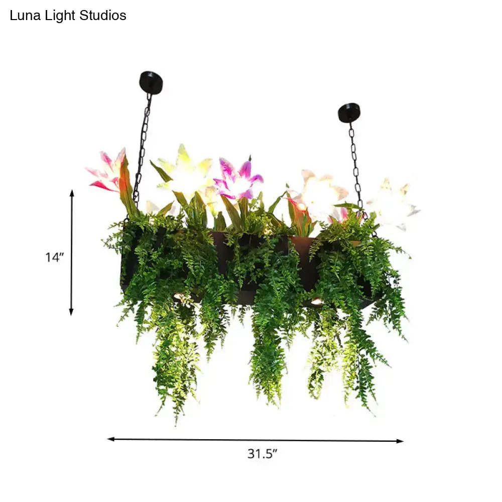 A decorbites™ metal black island pendant light with e26 e27 led bulbs and a hanging planter of ferns and flowers
