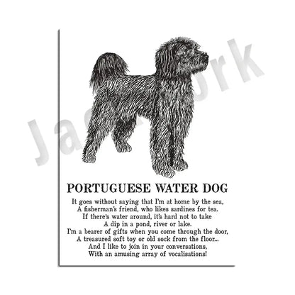 Framed black and white decorbites dog breed poetry poster set featuring a black ink illustration of a portuguese water dog