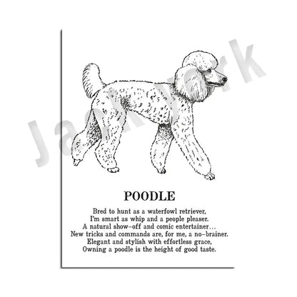 Framed black and white dog breed poetry poster featuring illustrated poodle traits for living room decorbites decor
