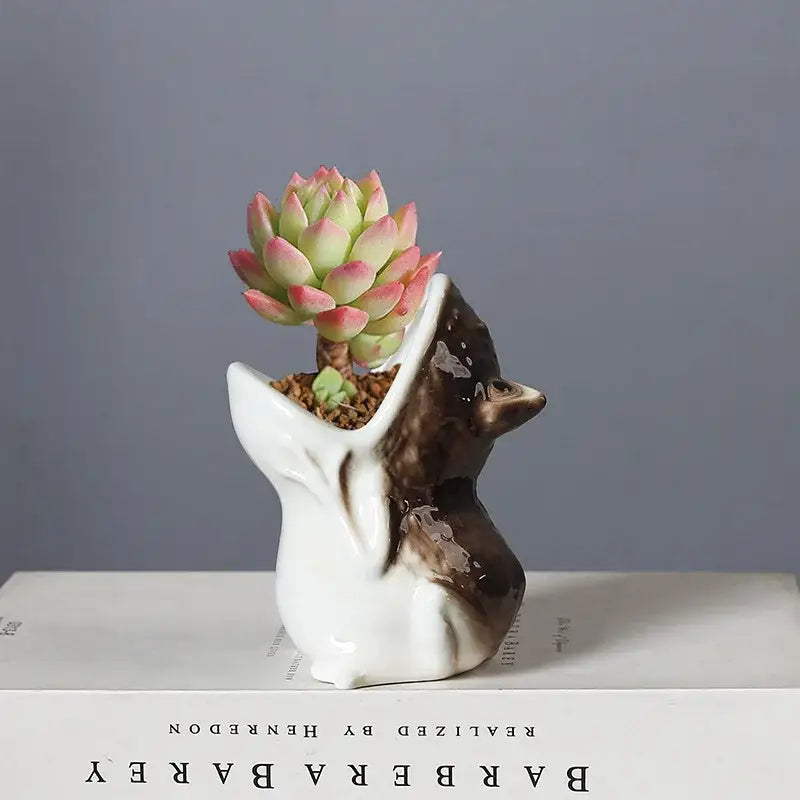 A flower pot ceramic fox planter with glossy white and brown glaze holding a green and pink tipped succulent decorbites cute frog