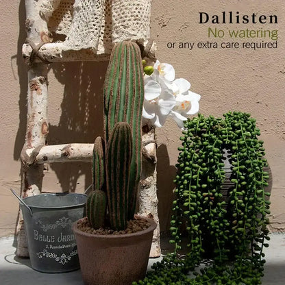 Green artificial fern vine with tall green cactus featuring vertical ridges and brownish spines in terracotta pot
