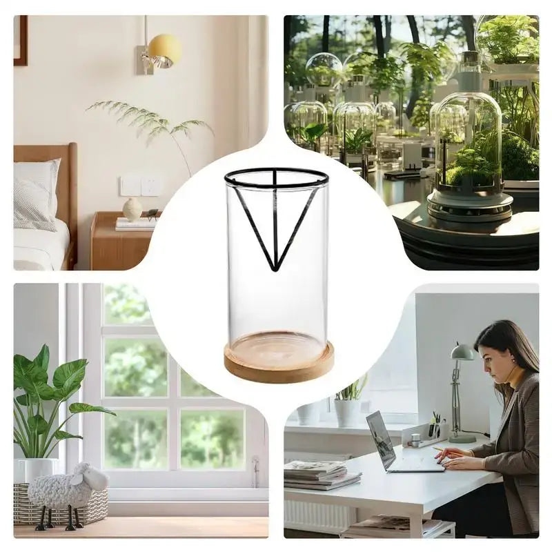 Clear glass cylindrical vase with black metal frame and wooden base for hydroponic avocado planting set