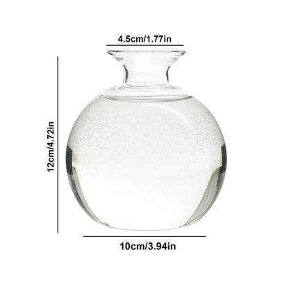 Clear glass hydroponic avocado seed vase with rounded body and narrow neck for seed cultivation measuring 12cm tall