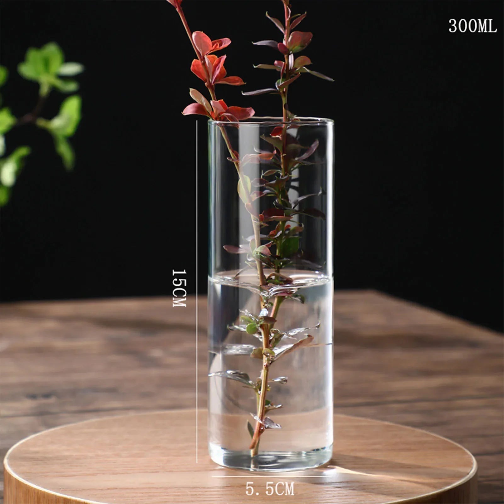 Clear glass cylindrical vase 300ml capacity 15cm height holding red-leafed hydroponics plant stems for desktop decoration
