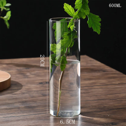 Clear cylindrical glass vase 20cm tall 6.5cm wide holding green leafy branch for hydroponics desktop decoration