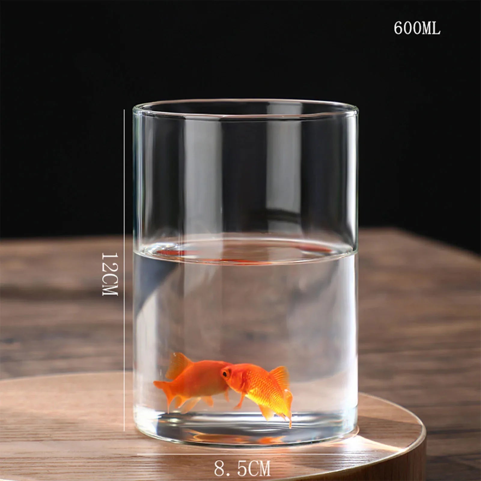 Clear glass cylindrical tumbler with 600ml capacity and 12cm height used as a desktop hydroponics plant vase
