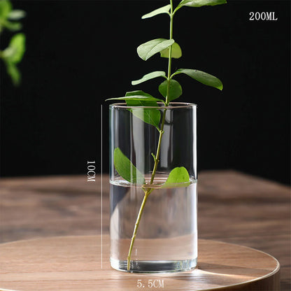 Clear glass cylindrical hydroponics planter vase with a green plant stem for desktop home decoration