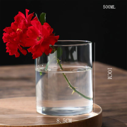 Clear glass transparent cylindrical vase with water holding two vibrant red roses for desktop home decoration