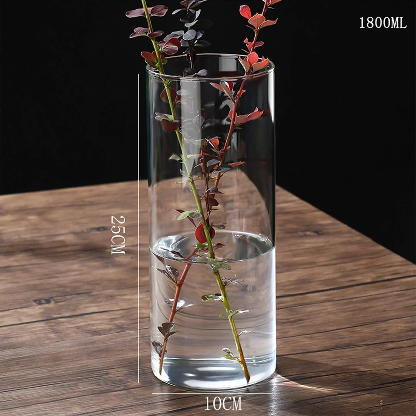 Tall clear glass cylinder vase with water and red-leafed stems for hydroponics desktop home decoration