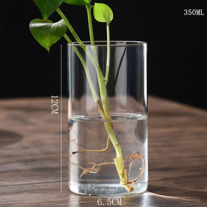 Clear glass cylindrical vase with 350ml capacity and 12cm height holding green plant stems for desktop decoration