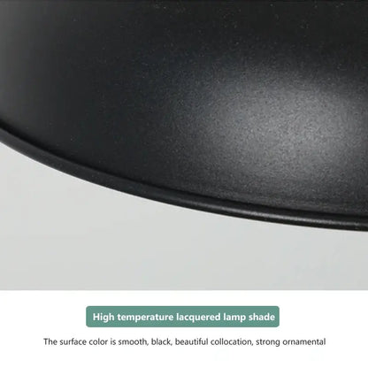 Black high-temperature lacquered industrial pendant light with matte finish for electric food heating use