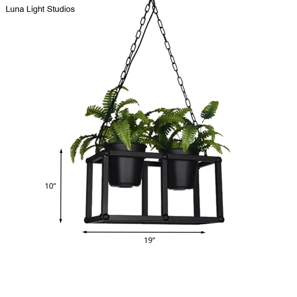 Black metal industrial rectangle island light fixture with hanging plant holder and two black pots of green ferns
