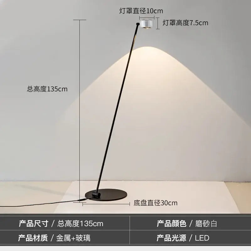 A minimalist black induction dimming floor lamp with matte white finish and slender metal frame for living room decorbites