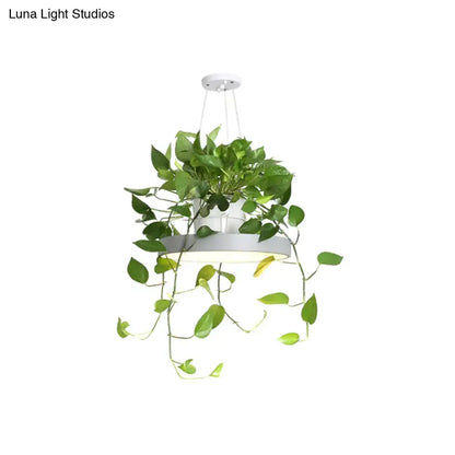 White brooklyn round macaron acrylic led pendant light with integrated plant pot and trailing green foliage