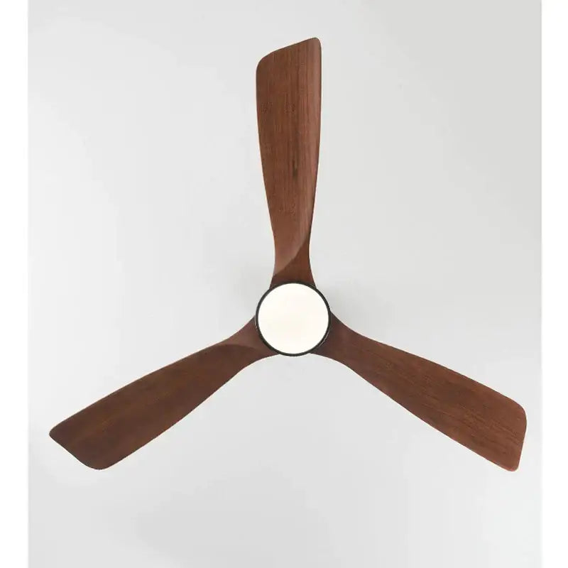 Modern black ceiling fan with black iron art baking paint lamp body, pmma lampshade, abs fan blades, and 18w led light