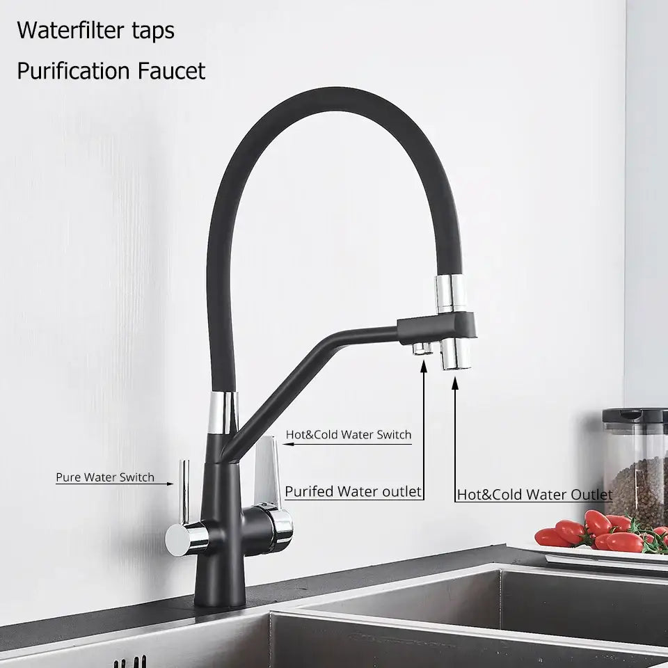 Modern black and chrome decorbites dual spout filter faucet with flexible gooseneck and pure water switch for kitchen use