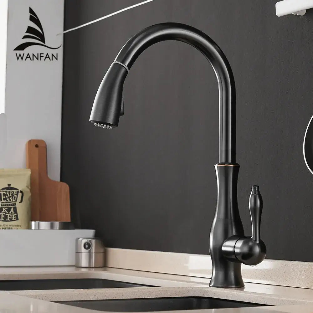 Modern black single handle kitchen faucet with curved swivel spout in black matte finish by wanfan for decorbites black single use